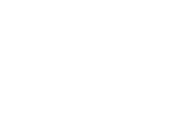 SLI Chemicals